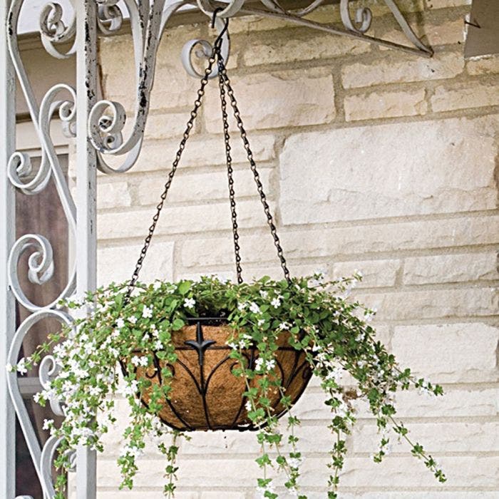 Wire Hanging Basket Fleur de Lis Coco Liner and Chain 14in Diam