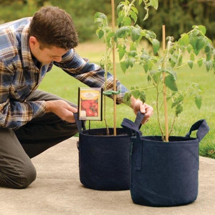 Roots bags best sale
