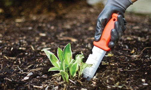 10 Essential Gardening Tools Every Gardener Needs