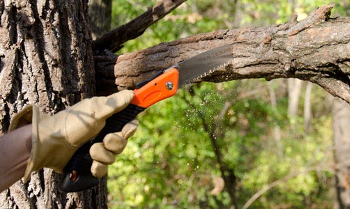 Pruning Saw