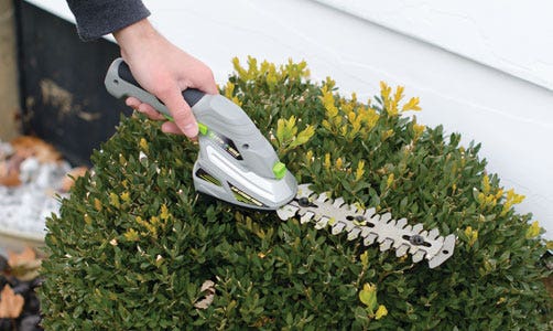 Lawn and Hedge Shears