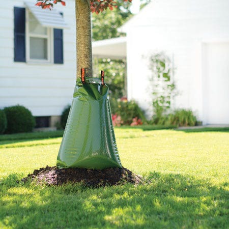 Watering & Irrigation Watering & Irrigation