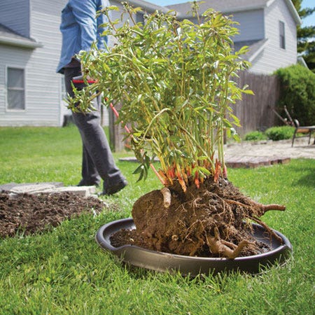 Landscaping Supplies