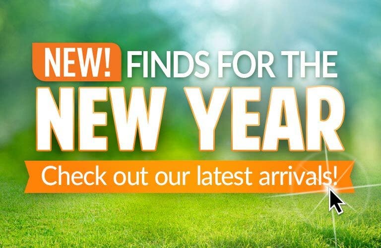 New Finds for the New Year - Check Out Our Latest Arrivals!