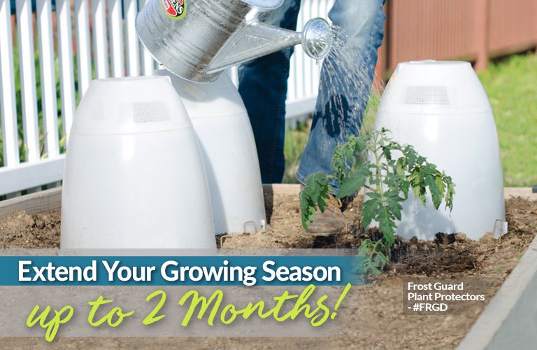 Frost Guard Plant Protector - Shop Now