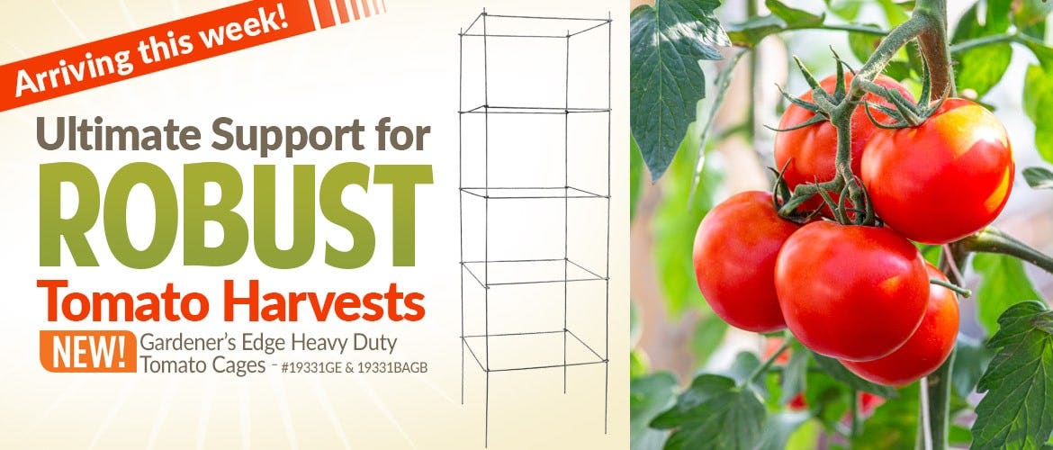 New Gardener's Edge Heavy Duty Tomato Cages Arriving This Week - Shop Now