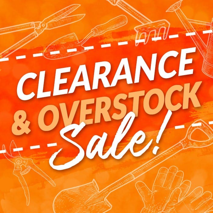 Clearance and Overstock Sale - Shop Now
