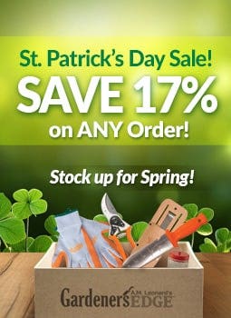 Check Out This Week's Deals and Choose Your Savings - Click Here to More Details
