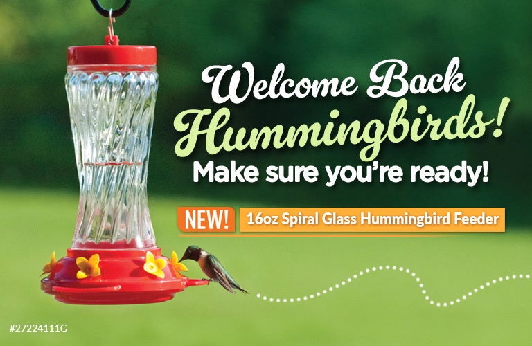 Welcome Back Hummingbirds - Shop Feeders and Nectar