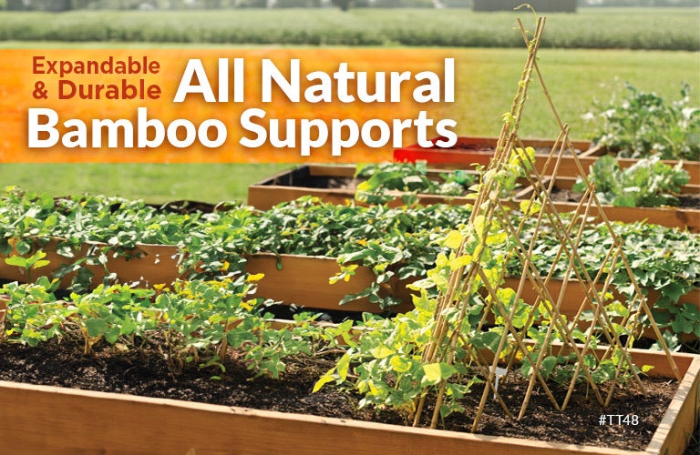 Expandable and Durable All Natural Bamboo Teepee Trellis Supports - Shop Now