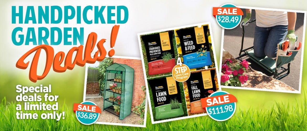 Handpicked Garden Deals for a Limited Time Only - Shop Now