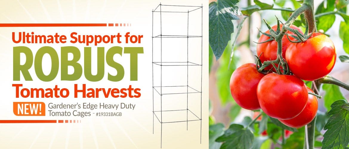 Gardeners Edge Heavy-Duty Folding Tomato Cages 4-Pack - Shop Now