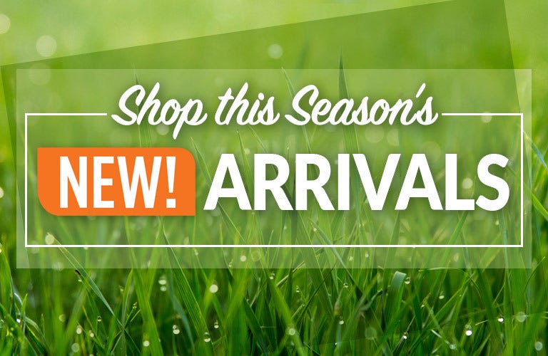 Shop Our New Arrivals for Spring