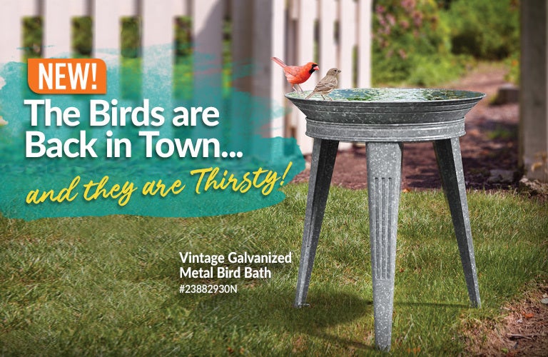 Vintage Galvanized Metal Bird Bath - Shop Now