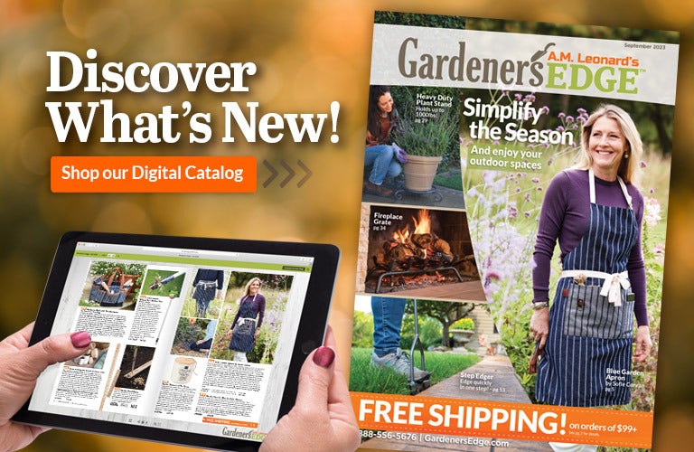 Discover What's New in Our September Digital Catalog - Shop Now