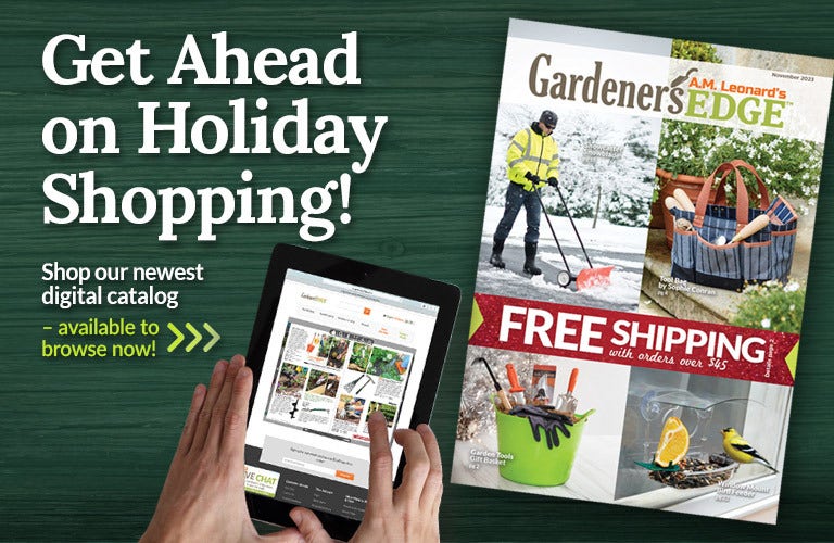 Discover What's New in Our November Digital Catalog - Shop Now