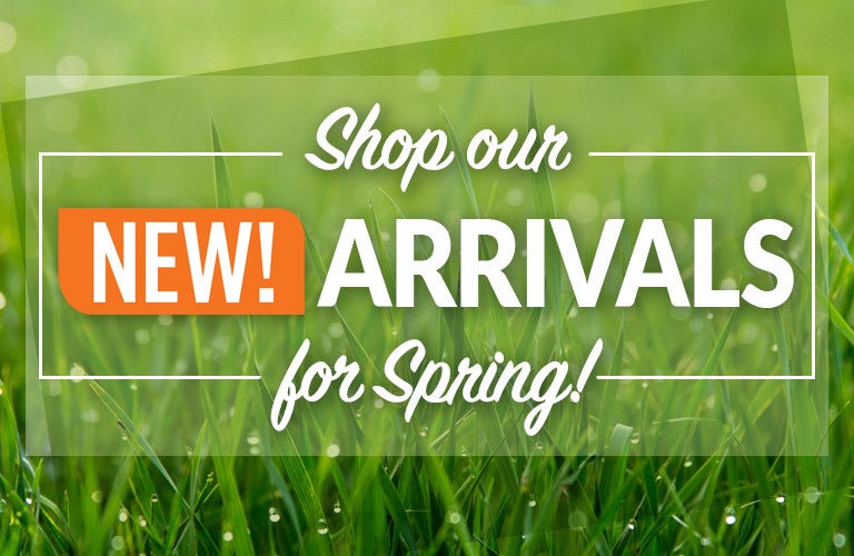 Shop Our New Arrivals for Spring