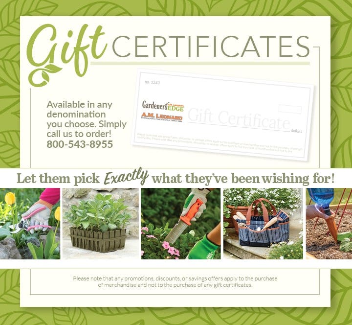 Give a gift certificate and let them pick exactly what they've been wishing for. Call 1-800-543-8955 to order!